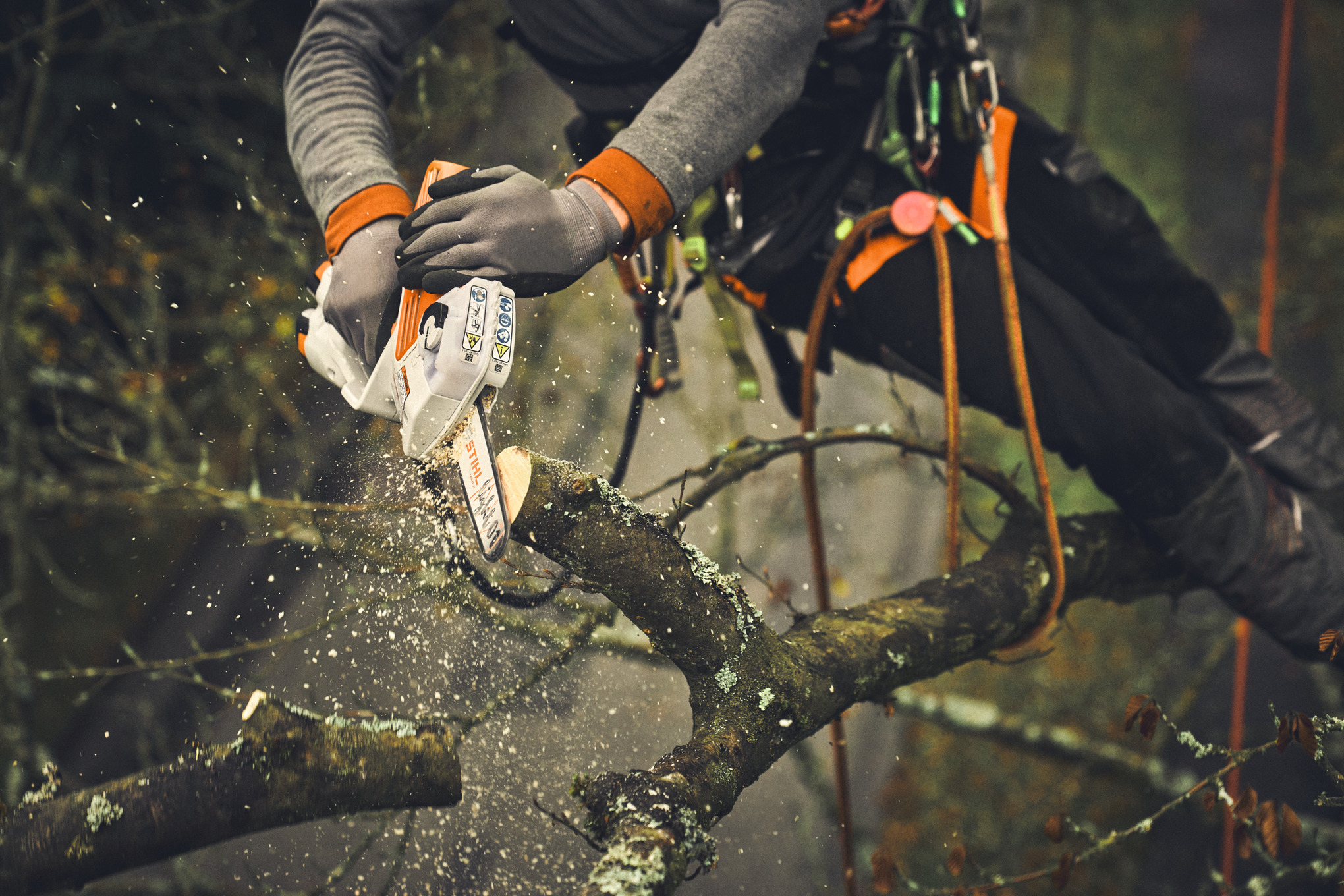 Шина Light 01 для гілкоріза GTA 30/40; крок 1/4"; паз 1,1 мм, тип хвостовика 3008