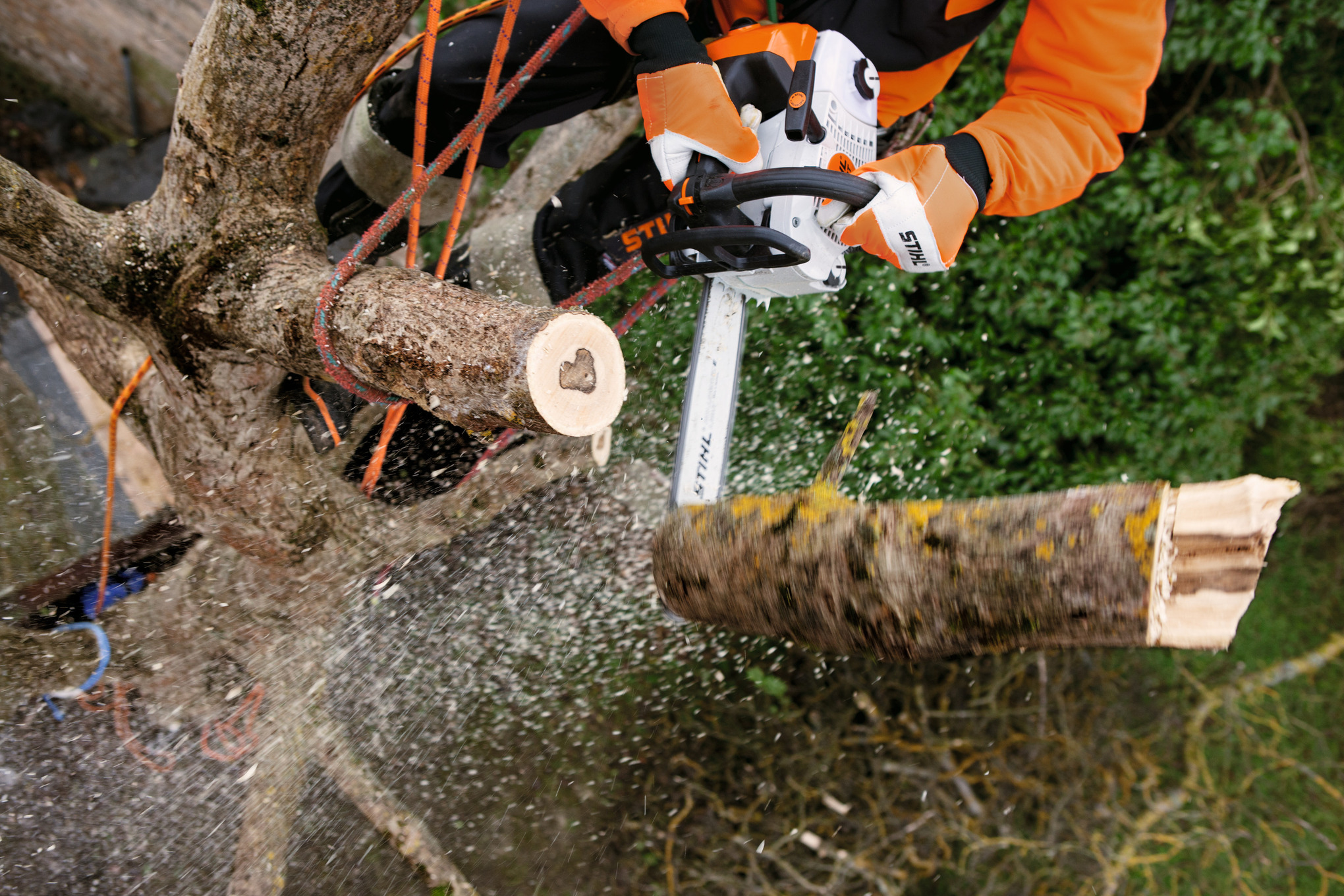 MS 201 TC M STIHL STIHL