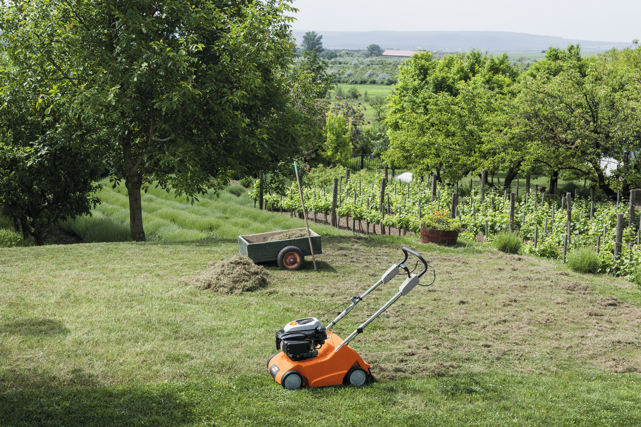 Бензиновий скакрифікатор STIHL RL 540