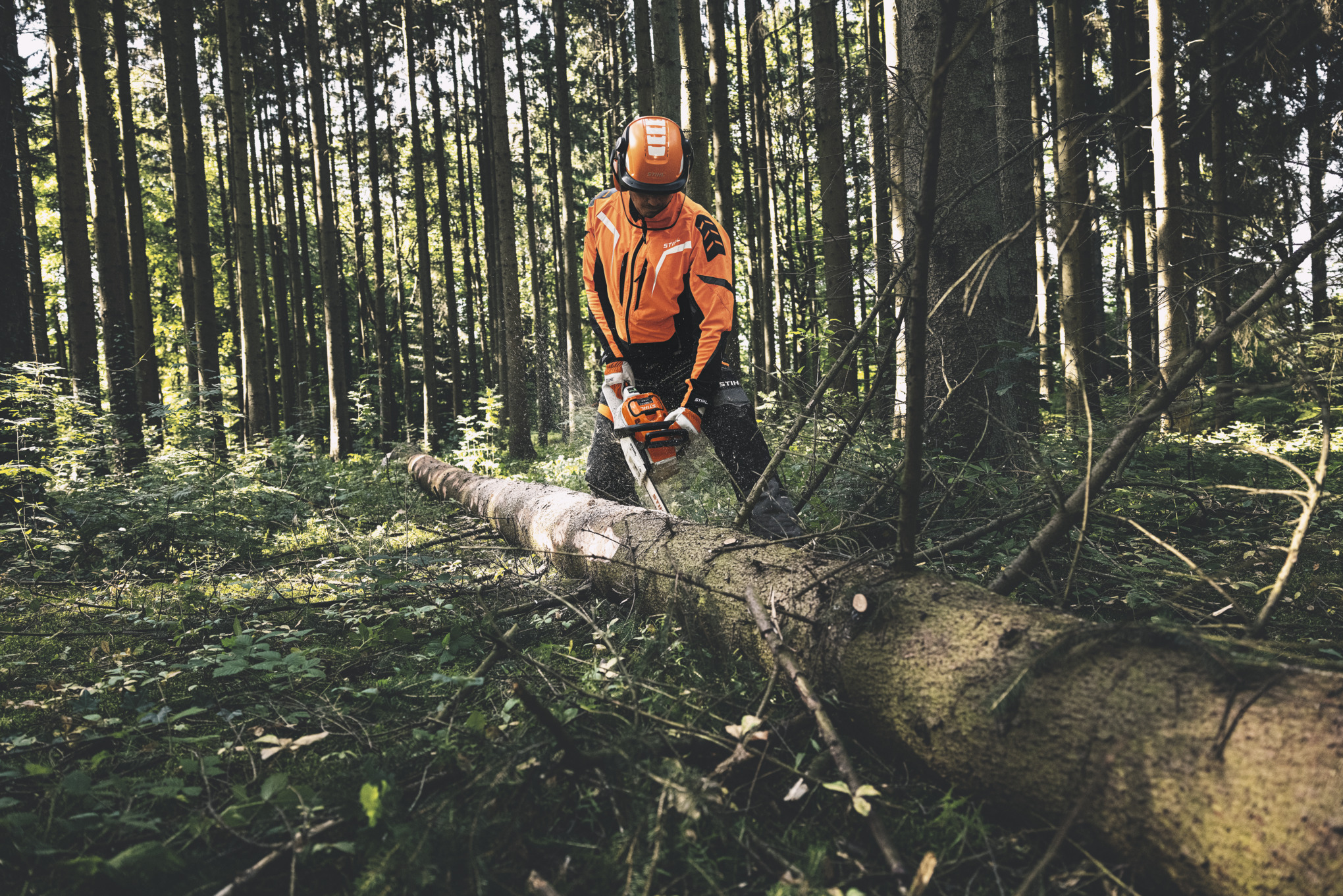 Лісове господарство | STIHL