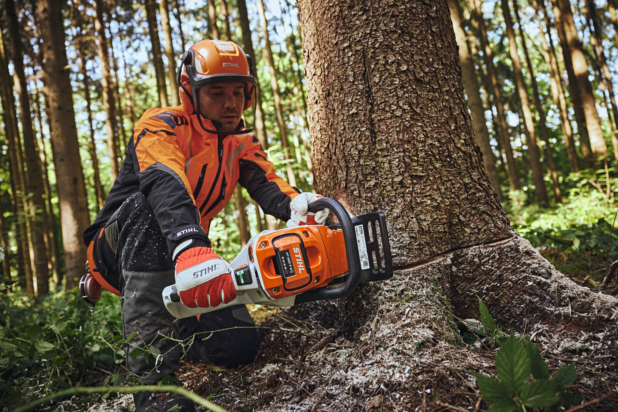 Чоловік у захисному спорядженні STIHL розпилює стовбур дерева