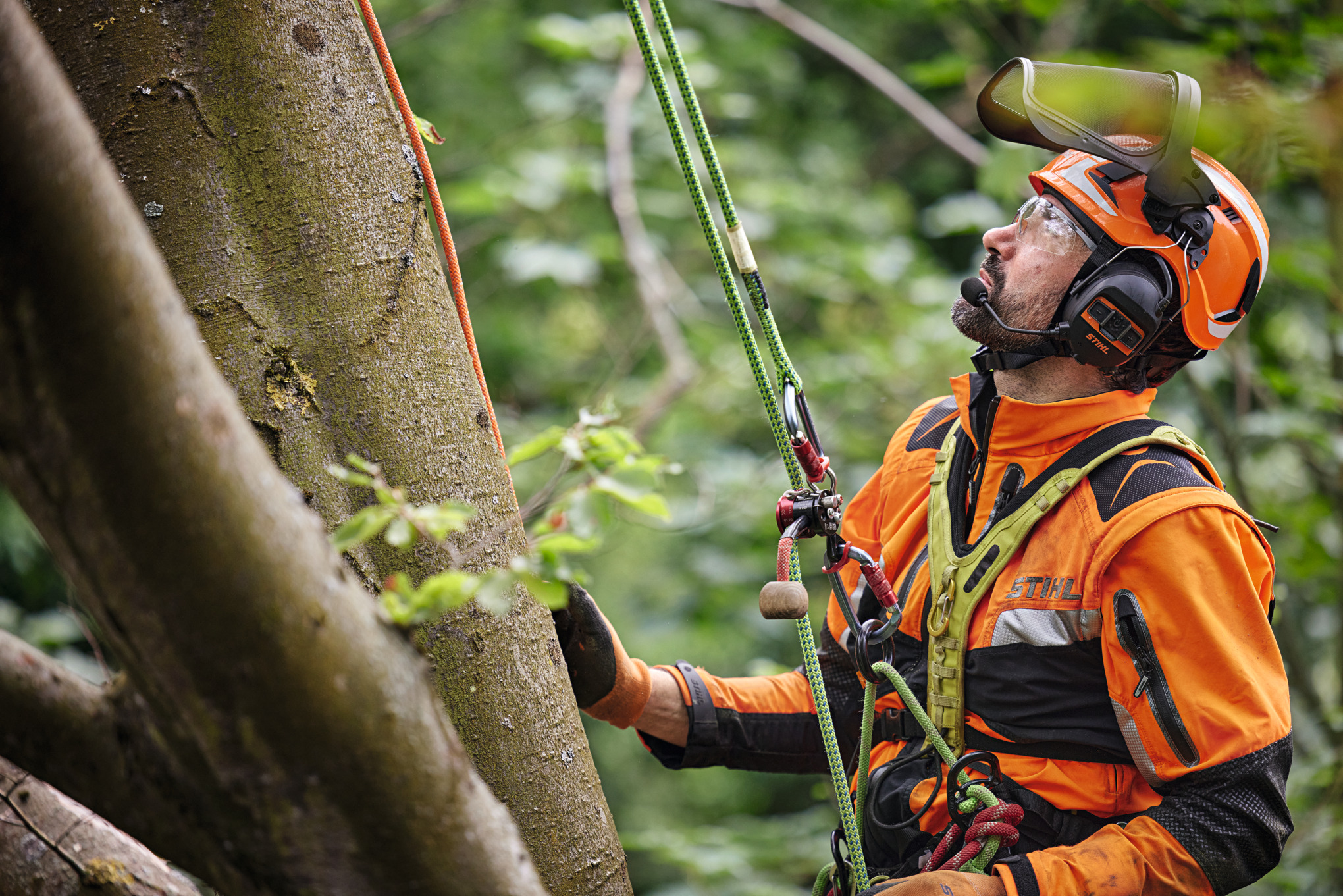 Професіонал по роботі з деревами висить на листяному дереві з монтажним ременем безпеки