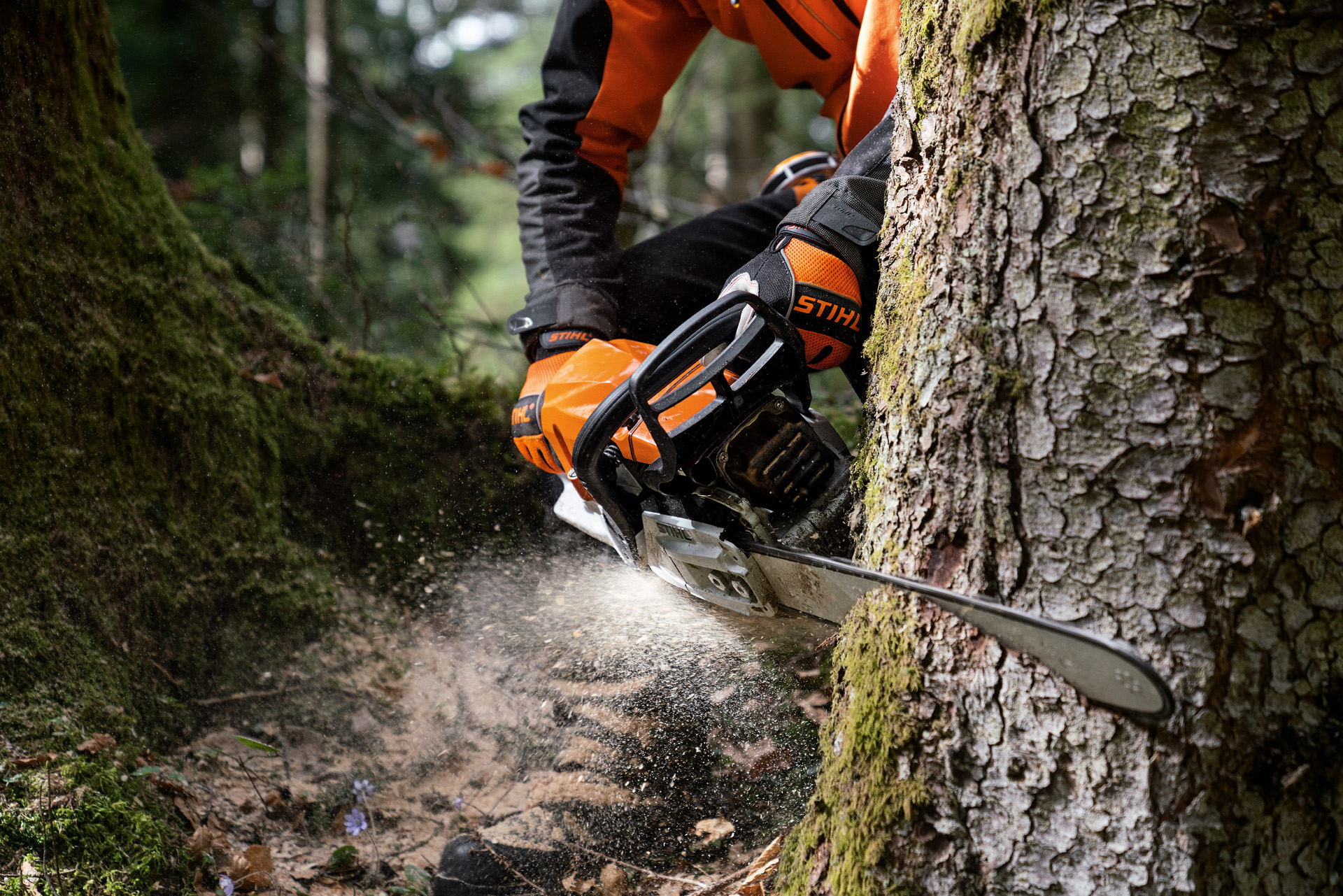 Людина в захисному спорядженні пиляє дерево бензопилою STIHL MS 400 C-M з поршнями з магнієвого сплаву.