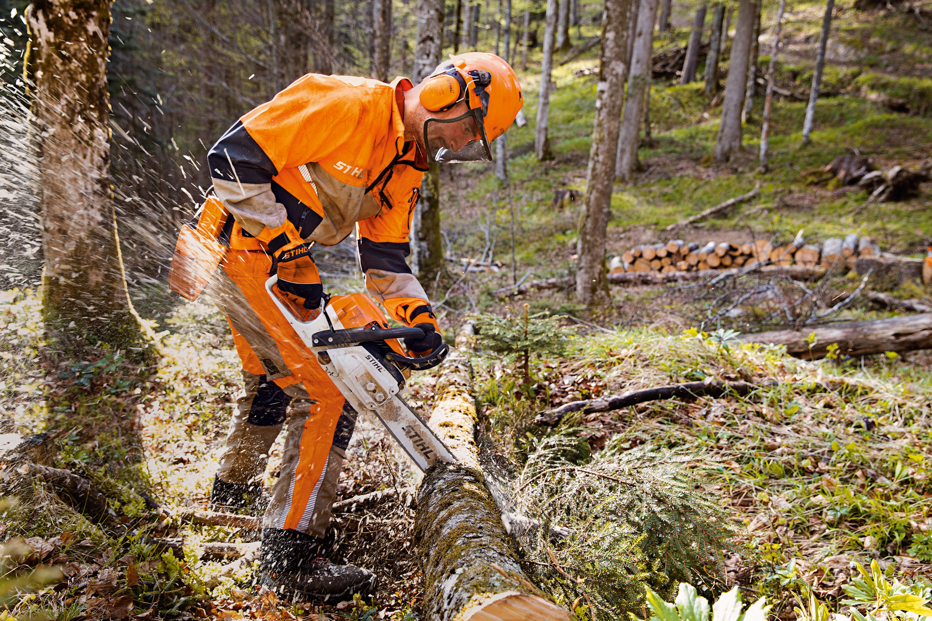 Працівник лісогосподарства в захисному одязі STIHL, включаючи штани Dynamic Vent (клас захисту від порізів 1), пиляє дерево в лісі бензопилкою STIHL