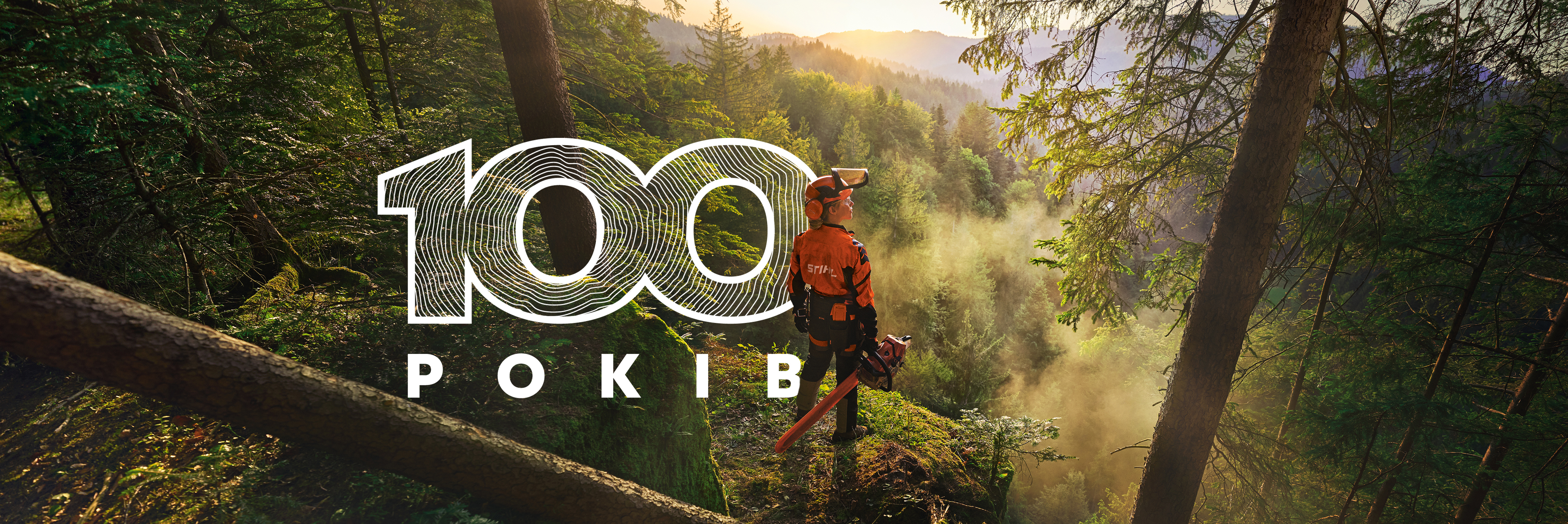 100 років STIHL